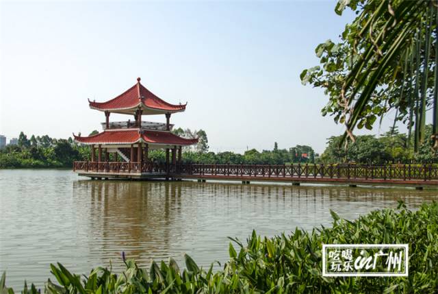 广州最新最美最好玩的景点,广州最值得去玩的景点推荐一下