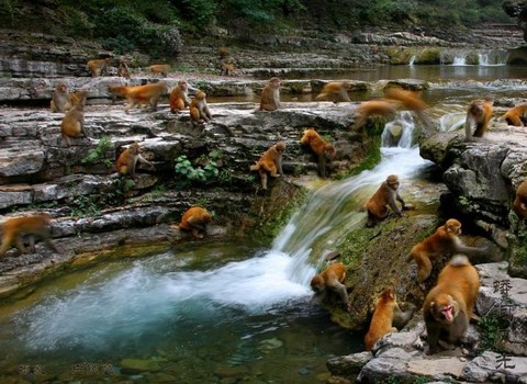 山西蟒河一游,蟒河好风光