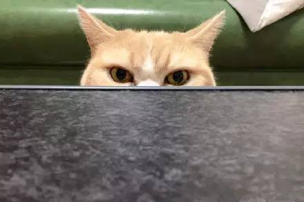 这个专属姑娘们的神奇“套子”