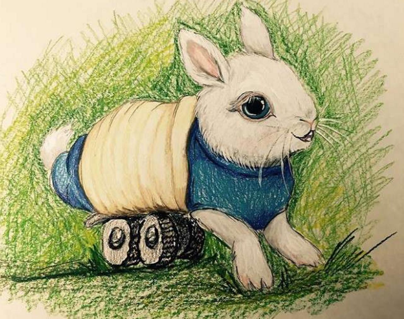 小兔灵机一动想出了一个办法,小兔子瘫痪