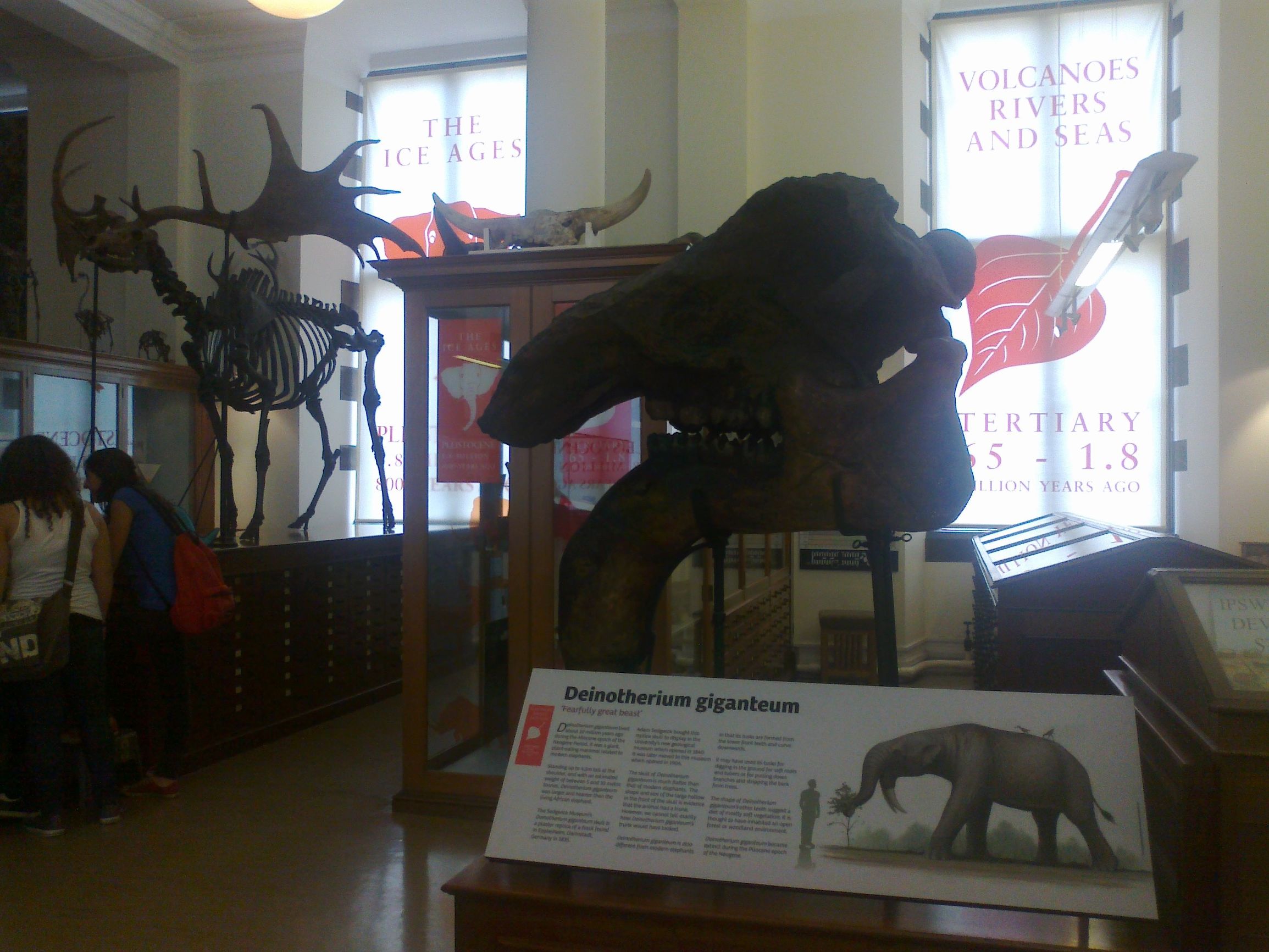 塞奇威克地球科学博物馆,塞奇威克