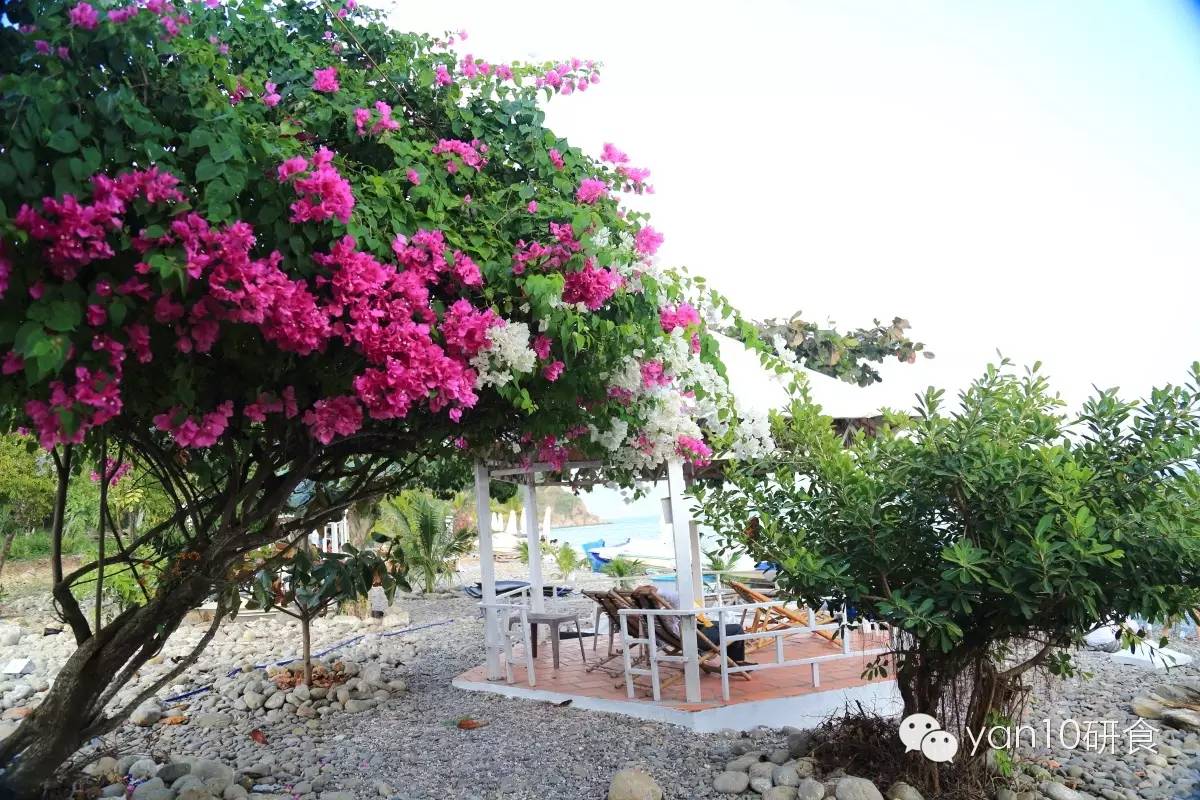 越南之旅芽庄,春节去越南芽庄旅游的感言