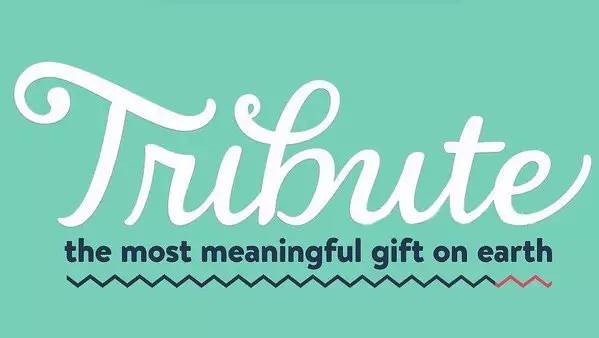 奥斯卡小李子获奖,奥斯卡奖得主小李子