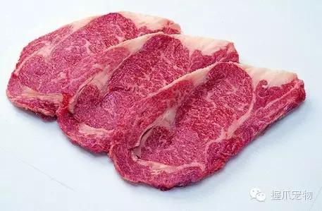 孕妇不能养什么,家里有孕妇可以养宠物吗