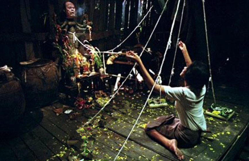 它被誉为地球上最让人恐惧的动物,传说中的蛊16种都有什么作用