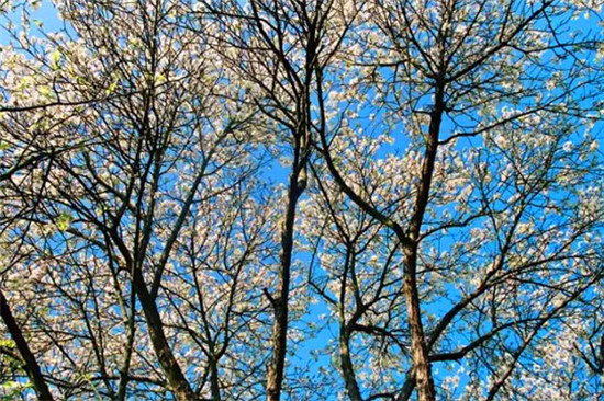 泸西旅游攻略一日游,去云南红河攻略