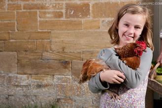 超级可爱的十大萌宠可以在家养,好养又干净的宠物萌宠