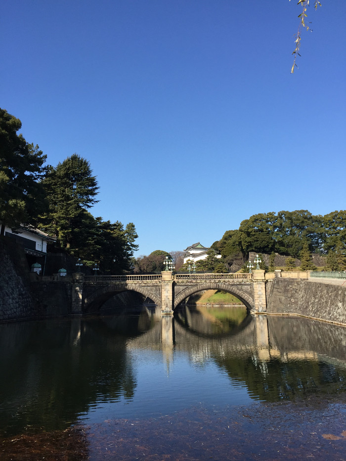 日本的冬天依旧色彩绚烂,冬季日本的冰雪阳光