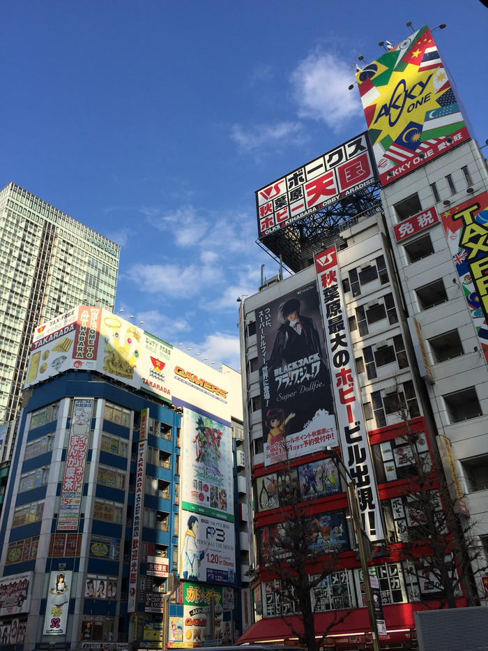日本的冬天依旧色彩绚烂,冬季日本的冰雪阳光