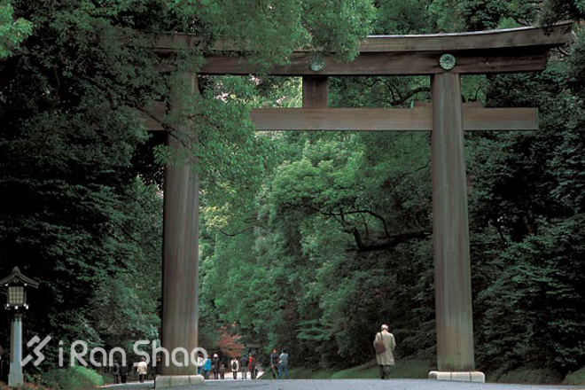 东京马拉松的最佳时间,东京马拉松全程多少公里