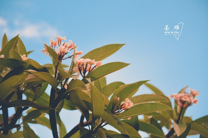 2017台北高雄垦丁花莲之旅,台北花莲垦丁自由行攻略