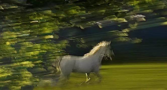 面朝大海春暖花开海子去哪了,海子生命绝唱面朝大海春暖花开