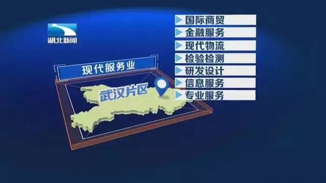 聚焦｜终于等到你！我们的湖北自贸区