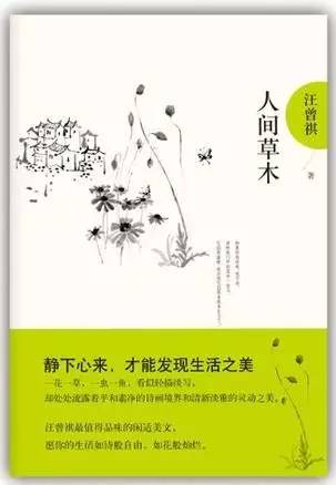 人间草木段落摘抄赏析,人间草木的文学常识