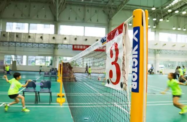 福建厦门籍羽毛球世界冠军,福建羽毛球出的世界冠军