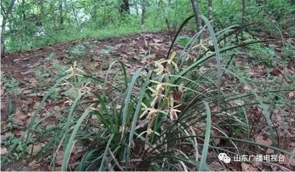 早安山东│厉害了！“天舟一号”有两套系统是咱山东造！