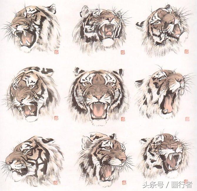 画虎年的老虎,如何画虎年的老虎