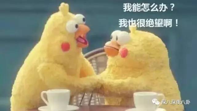 作为博纳的老板娘，开火锅店半个娱乐圈都来捧场，就问厉害不