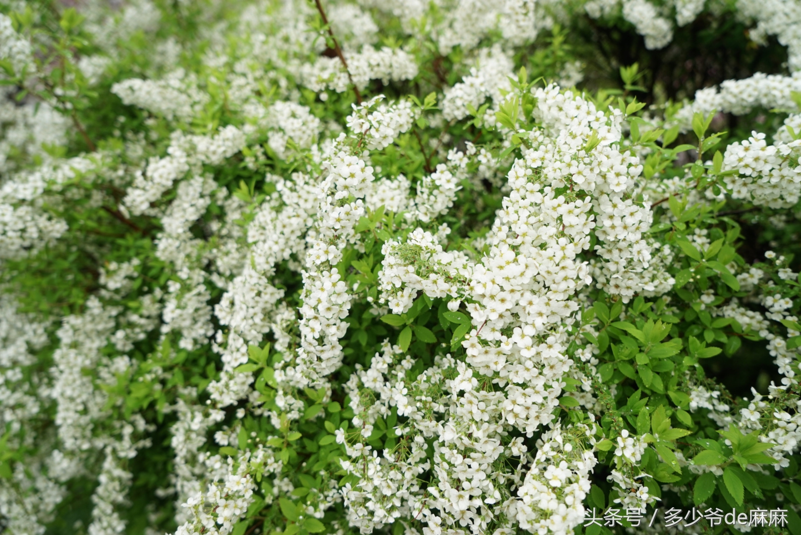 孩子生病家长要怎么安慰,宝妈担心宝宝生病心情很焦虑