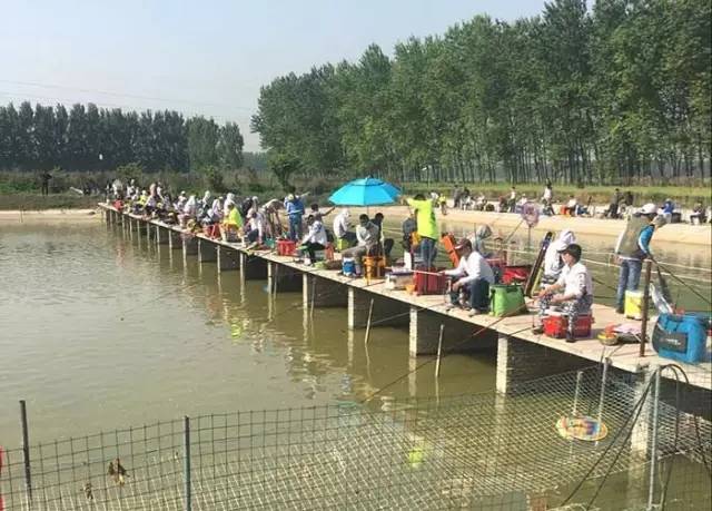 沁阳垂钓比赛,行营钓具杯北京第六届钓鱼大奖赛