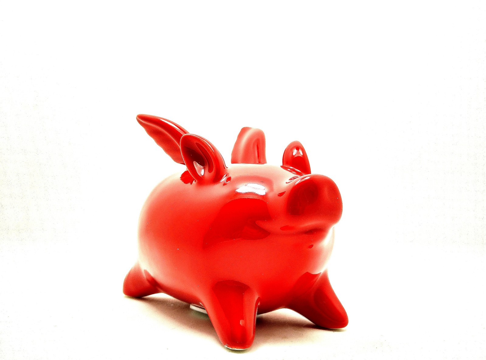 站在风口上猪都能飞电影,站在风口猪也可以飞起来