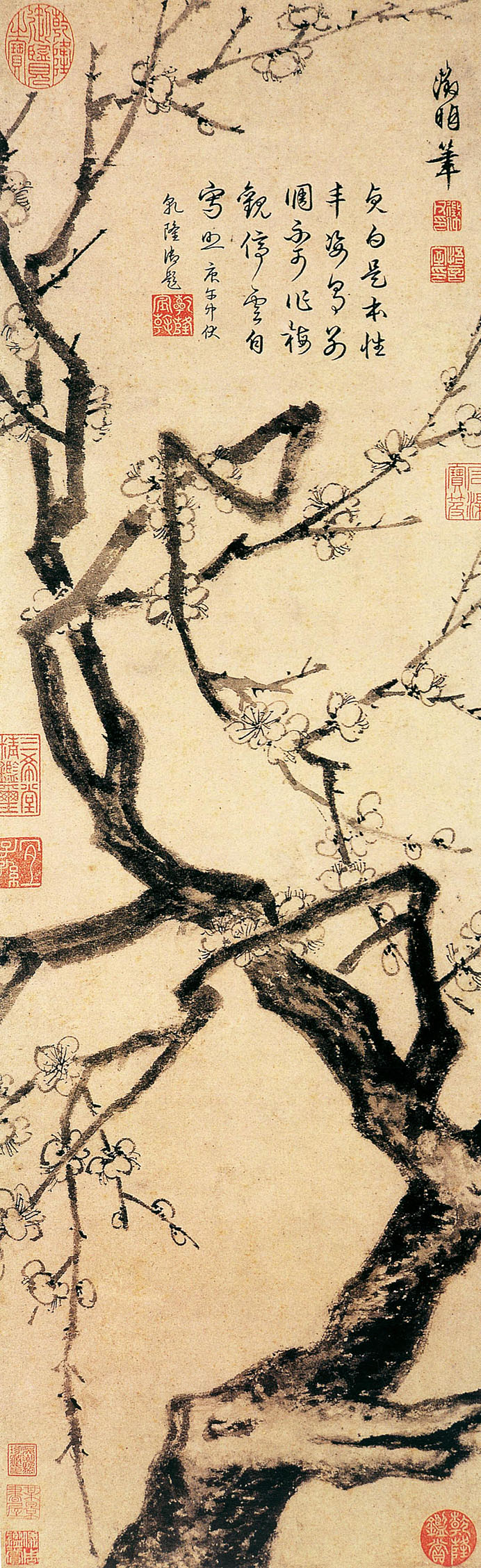 有关梅兰竹菊的中国国画作品,国画梅兰竹菊