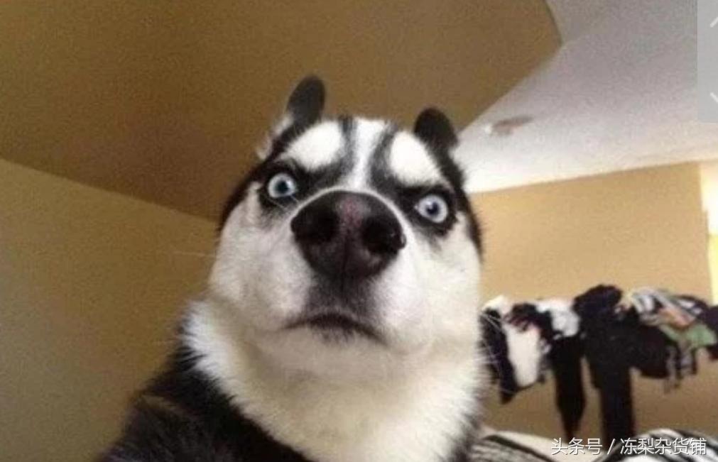 王者荣耀｜一个队友挂机了怎么办？这些技巧让胜率提高百分之50