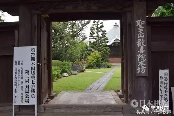 日本本因坊最终战现场视频直播,本因坊战井山裕太