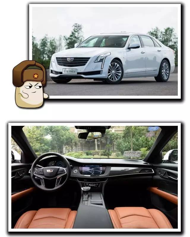 没有外资的国产汽车品牌,madeinchina是什么牌子的车