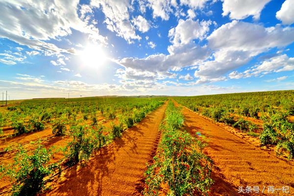 中宁民营经济发展进入西部百强县,中宁生产总值