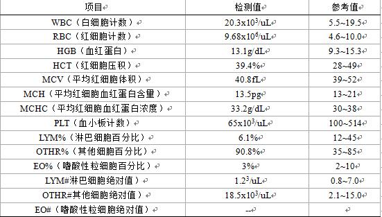 猫咪肾衰竭少尿期,英短公猫肾衰竭治疗