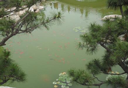 50个聊天话题轻松聊出感情,怎么能和女生聊天有共同话题