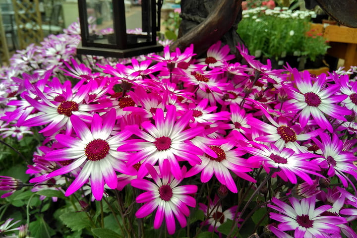 价格亲民高颜值，小米国民手机系列——红米note4X评测