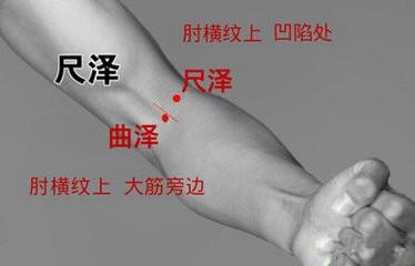 治疗帕金森综合征的董氏奇穴,中医治疗帕金森的中药方