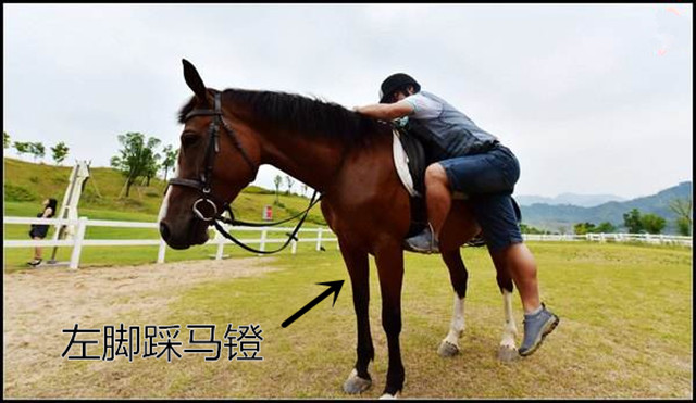 为什么汽车有左右舵方向,为什么汽车左右舵好