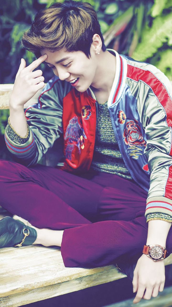 帅气鹿晗主题壁纸高清图片,鹿晗手机壁纸高清帅气动漫