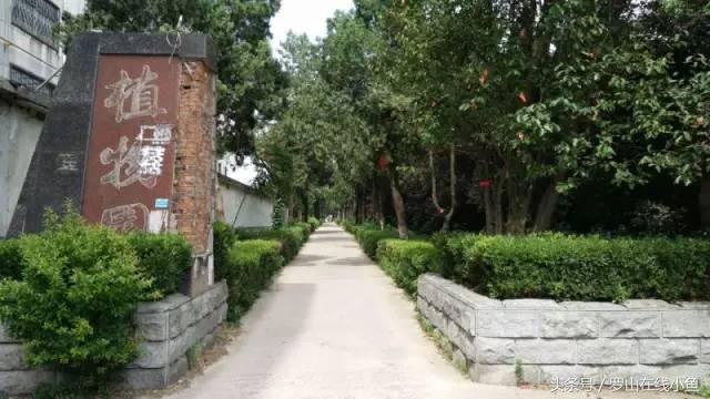 罗山十大景点,罗山地标