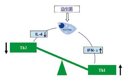 哪些益生菌，用来抗过敏靠谱？