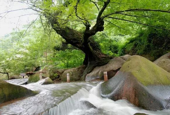 芜湖高考生,安徽芜湖高考生能拿到补贴吗