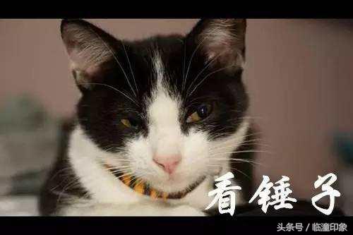 临潼人的“锤子”文化，博大精深！