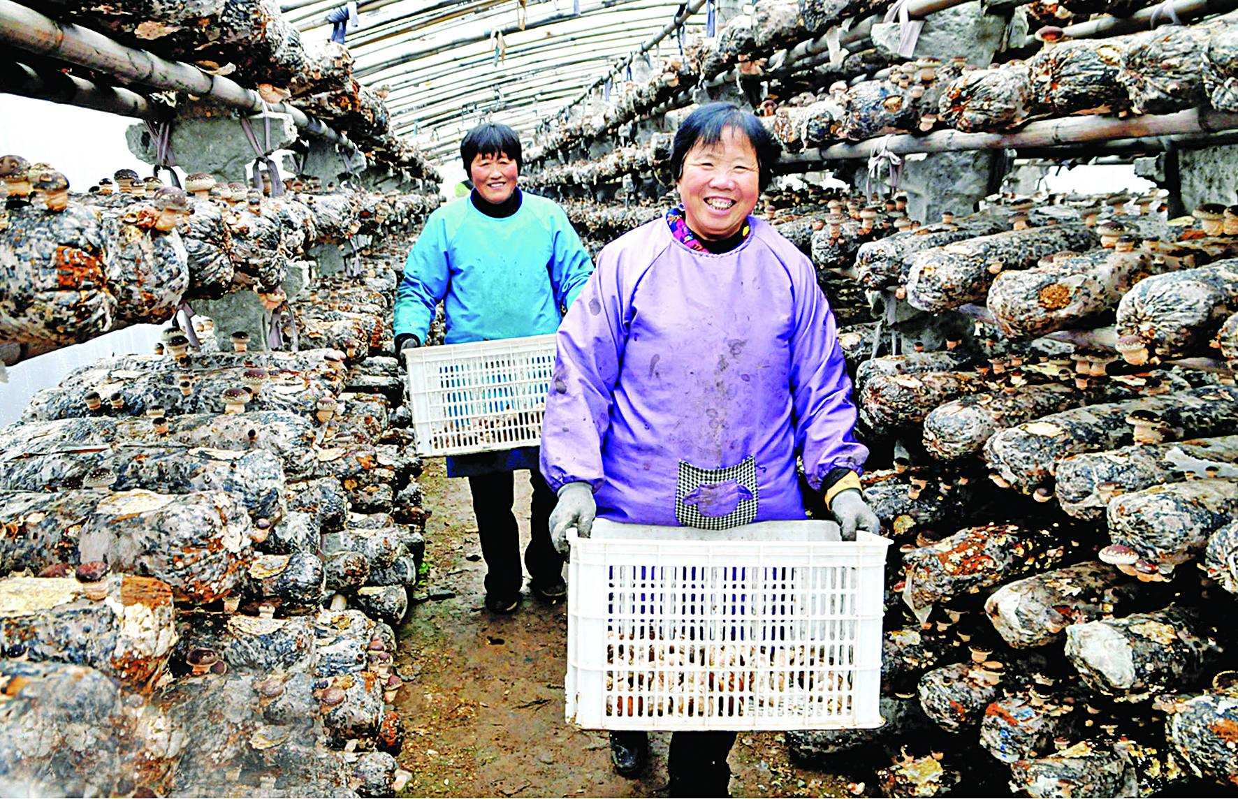 奋力书写新时代奋斗答卷,奋力书写脱贫奔小康的酉阳答卷