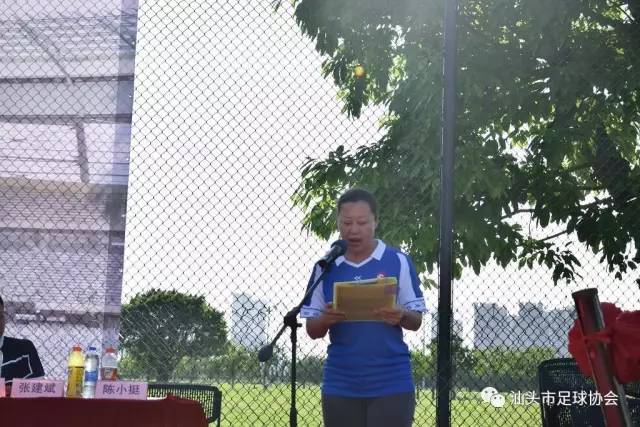 汕头足球队冲中冠,汕头足球队甲组