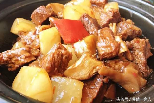 全牛各部位分割图解与吃法,牛肉超齐全的顶级牛肉知识和做法