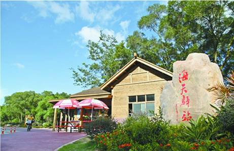 独家体验｜“苗柏”也挡不住珠海有轨电车通车的步伐！