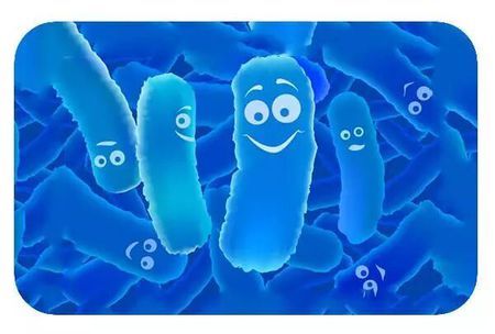 哪些益生菌，用来抗过敏靠谱？