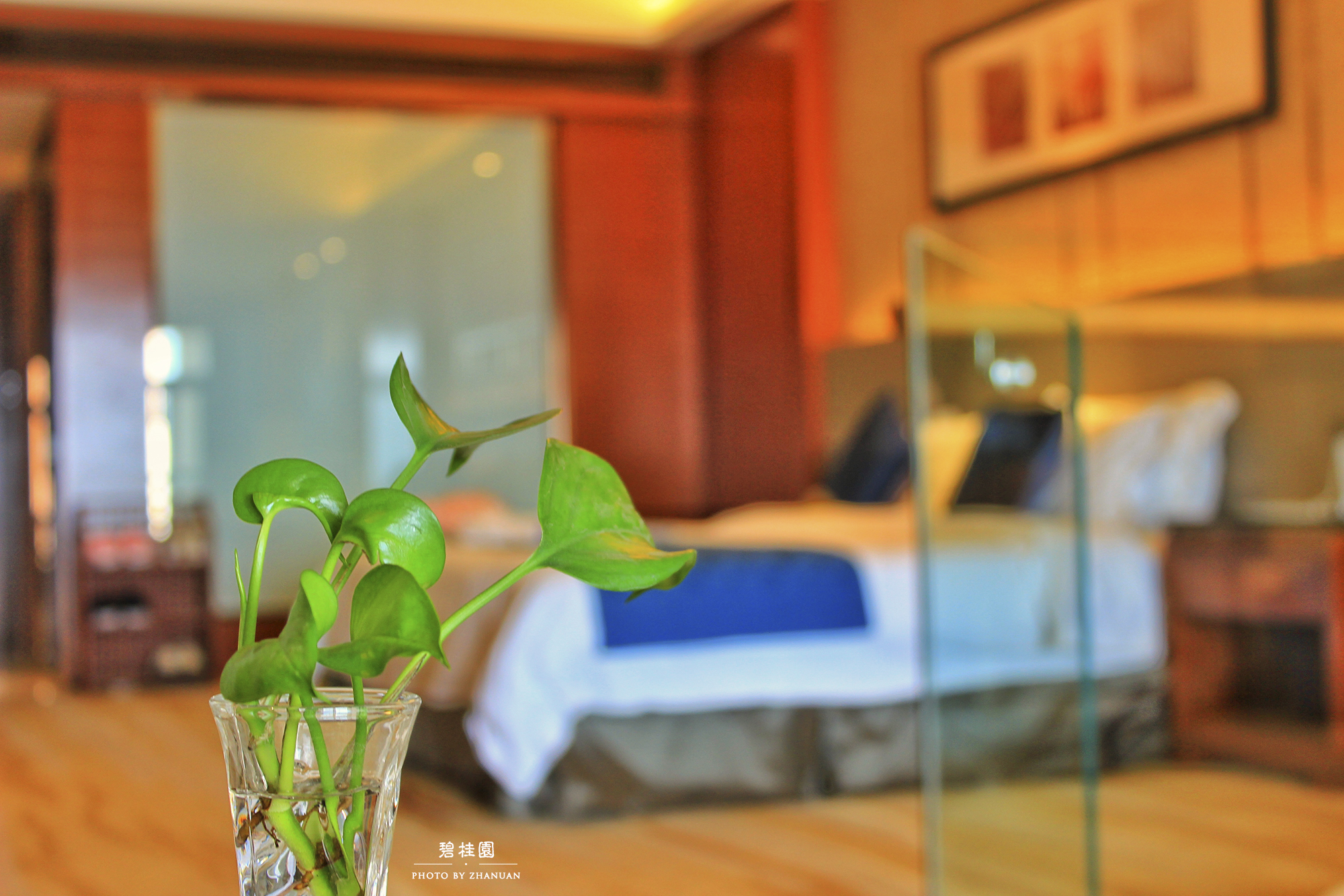 这个夏日,就去碧桂园十里金滩避暑吧