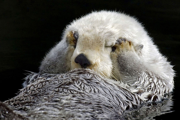 从心理学角度面对逆境,从心理上瓦解敌人的意志