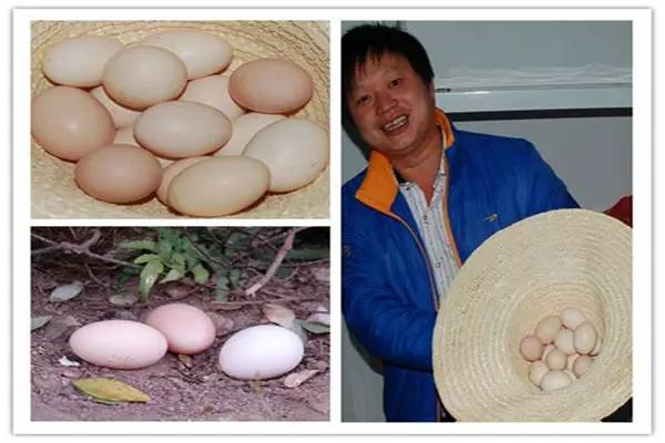 上犹产业园,全国各地的电商产业园