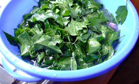 头发干枯像稻草小秘方,头发打结又卷起来怎么办