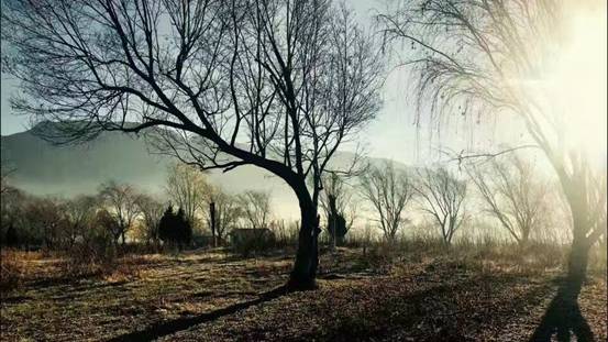 这对60后夫妻不惜卖掉公司，只为一间100多岁的白族老宅，连剑桥教授、《国家地理》都被他们吸粉